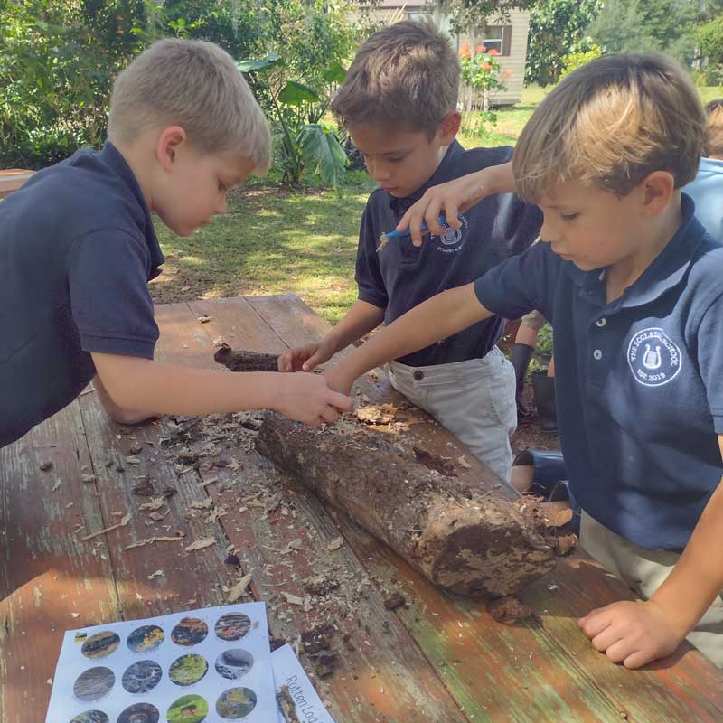 Ecclesial Schools Initiative